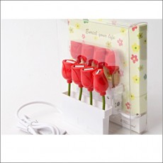 USB FLOWER 허브 